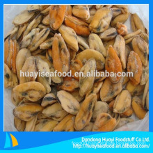 seafood frozen boiled mussel meat